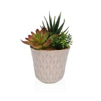 Decoratieve plant Versa Keramisch Plastic Fusion Vetplant 7,8 X 14 X 7,8 CM