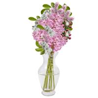 Bloemenvaas Mira - trompet vaas model - transparant glas - D18 x H37 cm