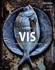 Vis (Hardback)