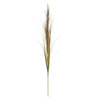 Pampasgras kunsttak 125 cm natuur Pampasgras kunsttak 125 cm natuur