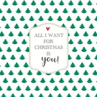 Duni 3-laags tissue servet all i want 33x33cm wit, groen 20 stuks Duni 3-laags tissue servet all i want 33x33cm wit, groen 20 stuks