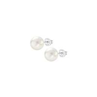 Dames oorbellen Lotus WS00001/10