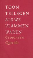 Als we vlammen waren - Toon Tellegen - ebook - thumbnail