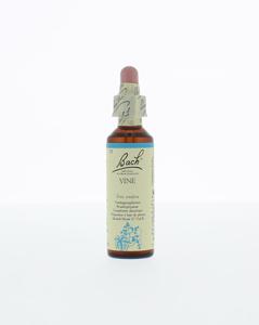 Bach Vine/wijnrank