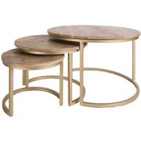 Home67 - Salontafel Bart Goud - Set van 3