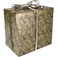 Cadeaupapier 30cm 200m 80gr/m Leaves zwart goud
