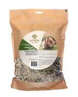 UTOPIA TIMOTHY HOOI MET PETERSELIE