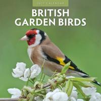 British Garden Birds Kalender 2027