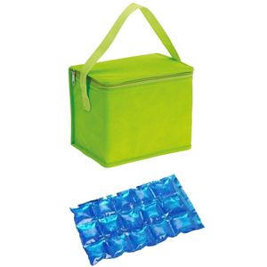 Kleine koeltas voor lunch groen met 2 stuks flexibele koelelementen 4.5 l   -