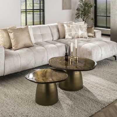 LifestyleFurn Organische Salontafel 'Cassidi' Glas, Set van 2 stuks, kleur Goud Antiek