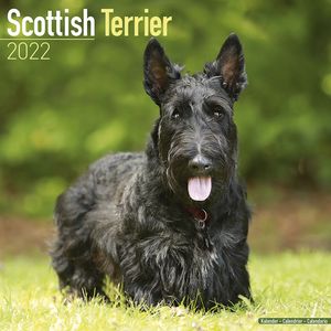 Kalender 2025 Schotse Terrier