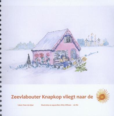 Zeevlabouter knapkop vliegt naar de zon (Hardback)