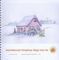 Zeevlabouter knapkop vliegt naar de zon (Hardback)
