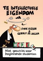 Te Intellectuele Eigendom (Paperback)