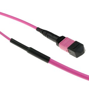 ACT DC5025 Glasvezel Patchkabel 50/125 OM4(OM3) Polarity B Trunkkabel MTP/MPO Female - 50 meter