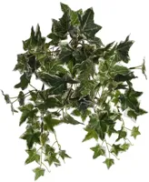 Pure Royal kunst hangplant klimop 40cm groen