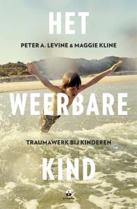 Het weerbare kind (Paperback)