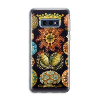 Haeckel Ascidiae: Samsung Galaxy S10e Transparant Hoesje