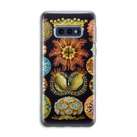 Haeckel Ascidiae: Samsung Galaxy S10e Transparant Hoesje