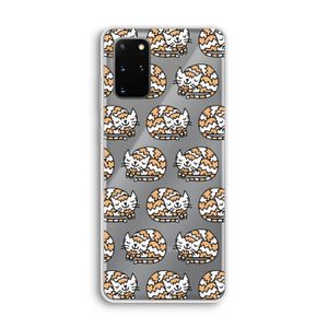 Slapende poes: Samsung Galaxy S20 Plus Transparant Hoesje