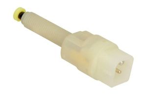 Remlichtschakelaar 210302