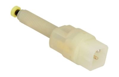 Remlichtschakelaar 210302