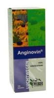 Anginovin