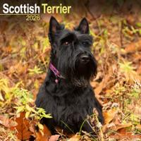 Schotse Terrier Kalender 2026