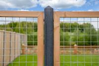 Gaaselement met douglas kader 90 cm Tuindeco - Tuindeco