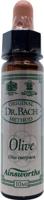 Ainsworths Olive Bach 10 Milliliter