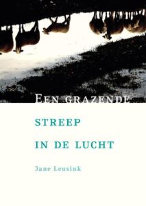 Een grazende streep in de lucht - Jane Leusink - ebook
