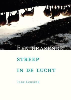 Een grazende streep in de lucht - Jane Leusink - ebook