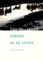 Een grazende streep in de lucht - Jane Leusink - ebook