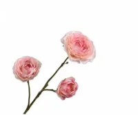 Silk-ka kunsttak ranonkel 46cm roze