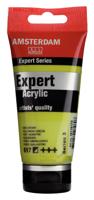 Royal Talens Amsterdam Expert Series Acrylverf Tube 75 ml - Geelgroen 617