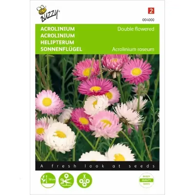 Acrolinium dubbelbloemig gemengd