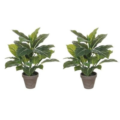 Mica Decorations Kunstplant - 2x - philodendron - groen - 49 cm