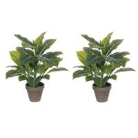 Mica Decorations Kunstplant - 2x - philodendron - groen - 49 cm