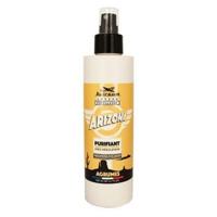 Hairgum Haircare Arizona Purifying Lotion 200ml