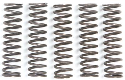 TRW koppelingsveren set clutch spring kit mef105-5