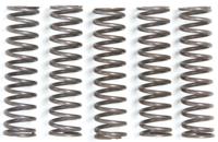 TRW koppelingsveren set clutch spring kit mef105-5