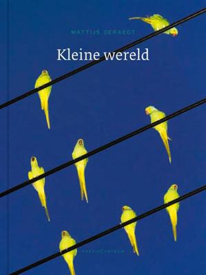 Kleine wereld (Paperback)