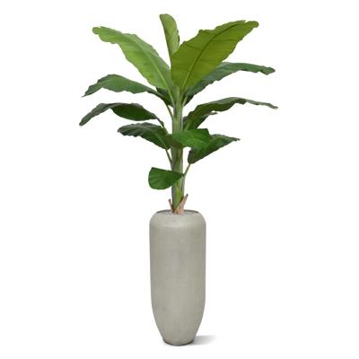 Banaan Royal kunstboom 210cm