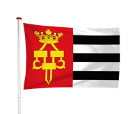 Vlag Drachten