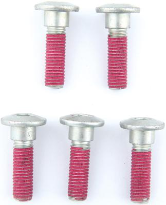 TRW Screw set 5pcs. m8x1,25
