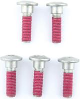 TRW Screw set 5pcs. m8x1,25 TRW Screw set 5pcs. m8x1,25
