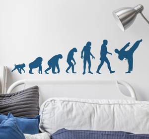 Muursticker Sport Evolutie Karate