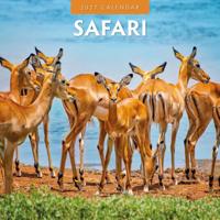 Safari Kalender 2027