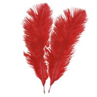 Struisvogelveren/sierveren - 2x - rood - 30-35 cm - decoratie/hobbymateriaal - thumbnail