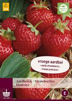 Fragaria Honeoye Bloembol JUB - Jub